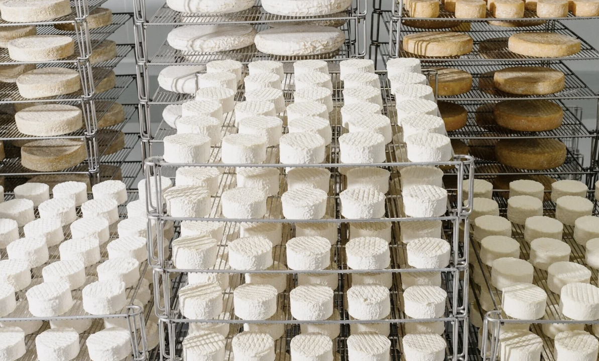 July 2026: World Cup Cheese of the Month Club