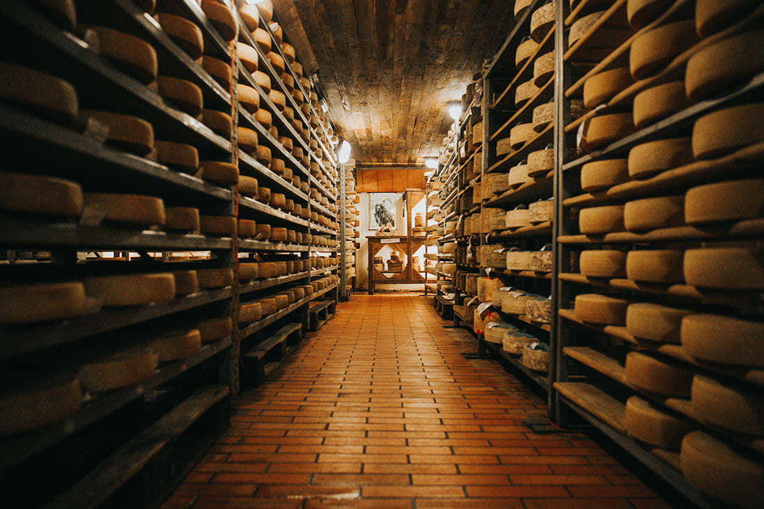August 2026: Italian Regions Cheese of the Month Club