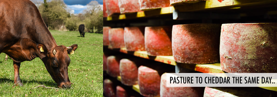 Coolattin Mount Leinster Clothbound Cheddar