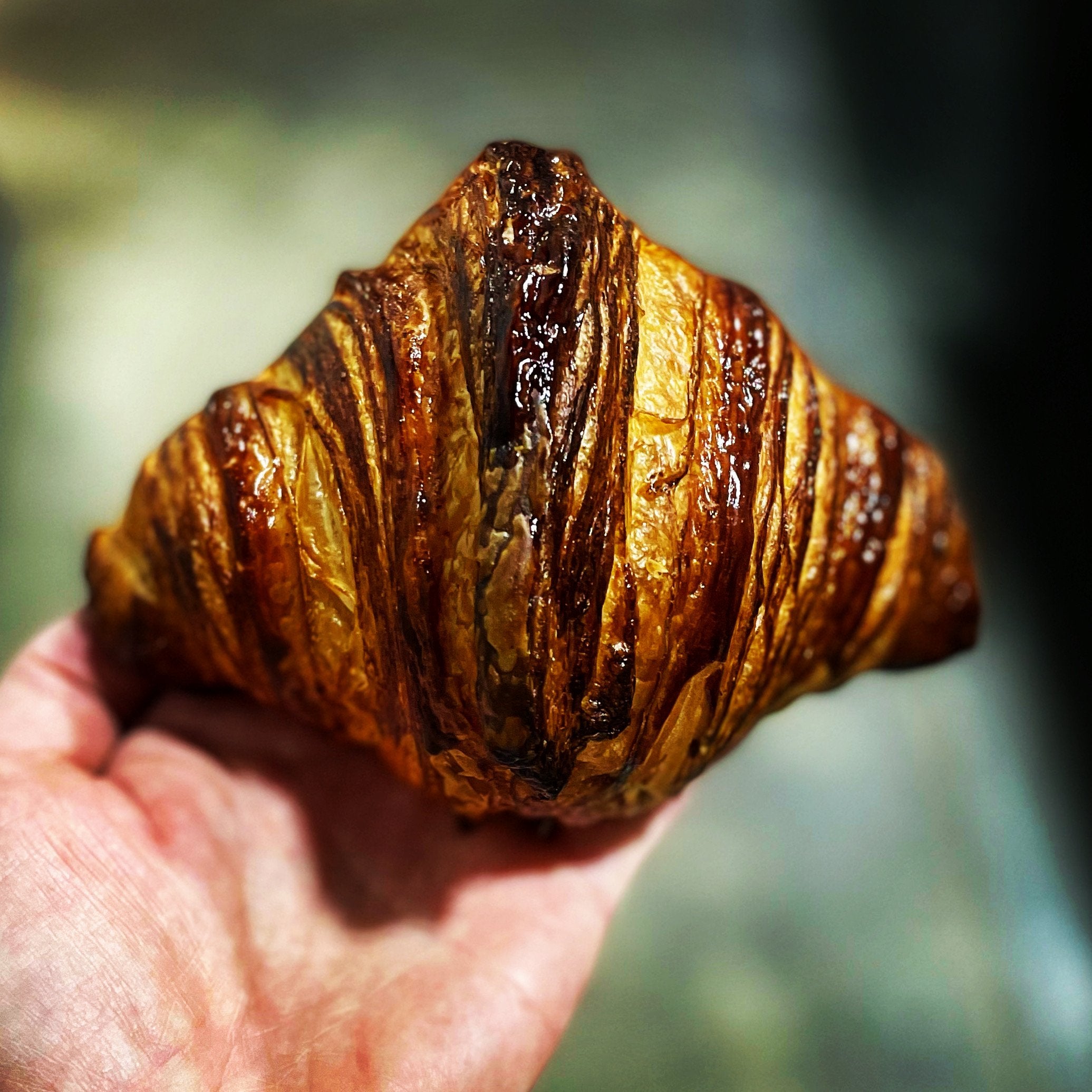 Holiday Babette's Pastries Pre-order